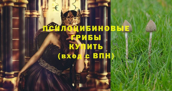 соль ск Алзамай
