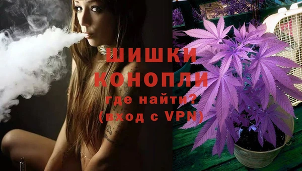 гидра Алексеевка