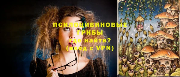 гидра Алексеевка