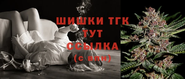 соль ск Алзамай