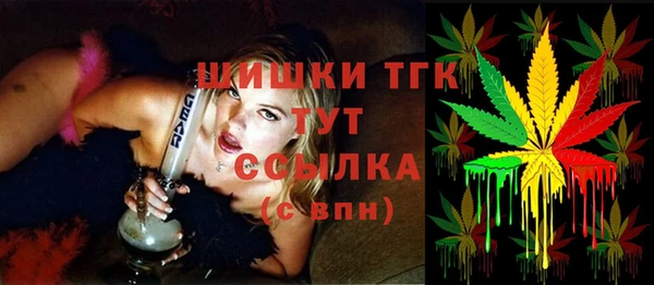 соль ск Алзамай