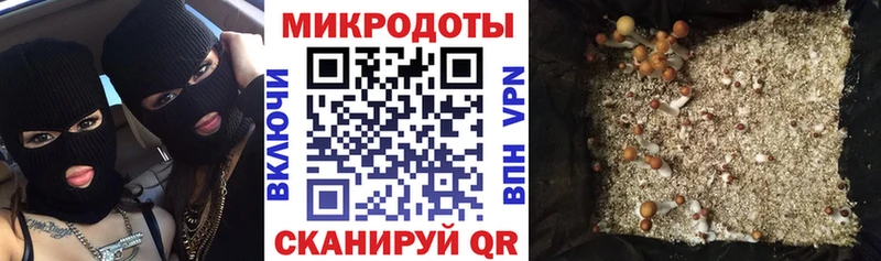 Галлюциногенные грибы Psilocybe  Хвалынск 